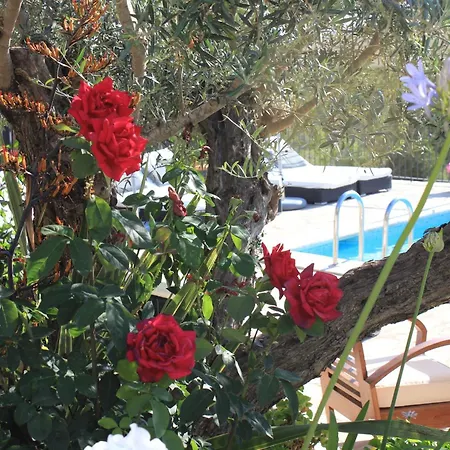 Pardal Vakantieboerderij Sant Miquel de Balansat